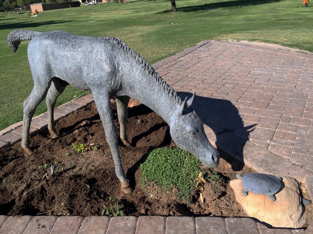 bronze pony and turtle with calcium damage