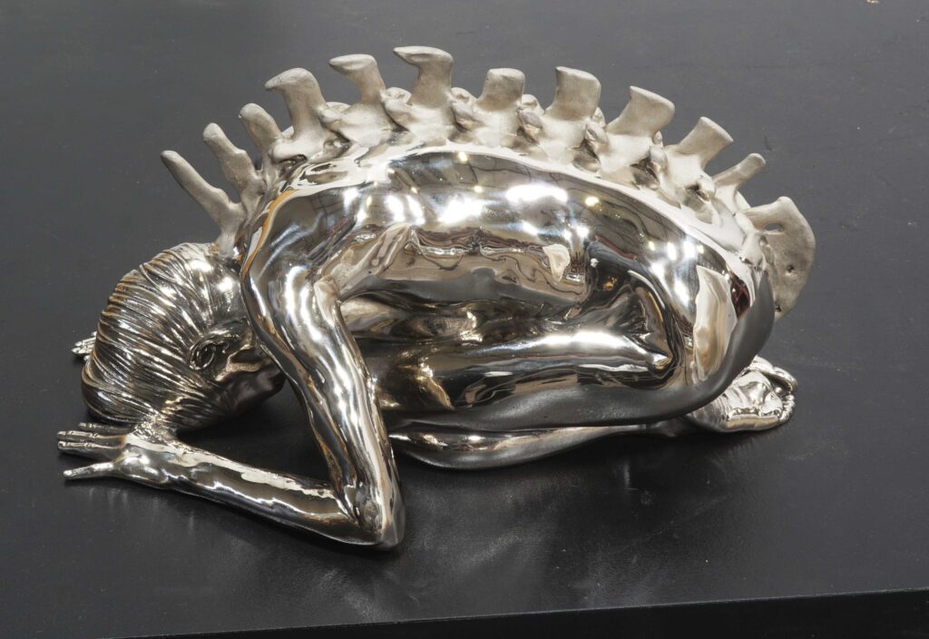 Natural History (Figure with Cow Spine)